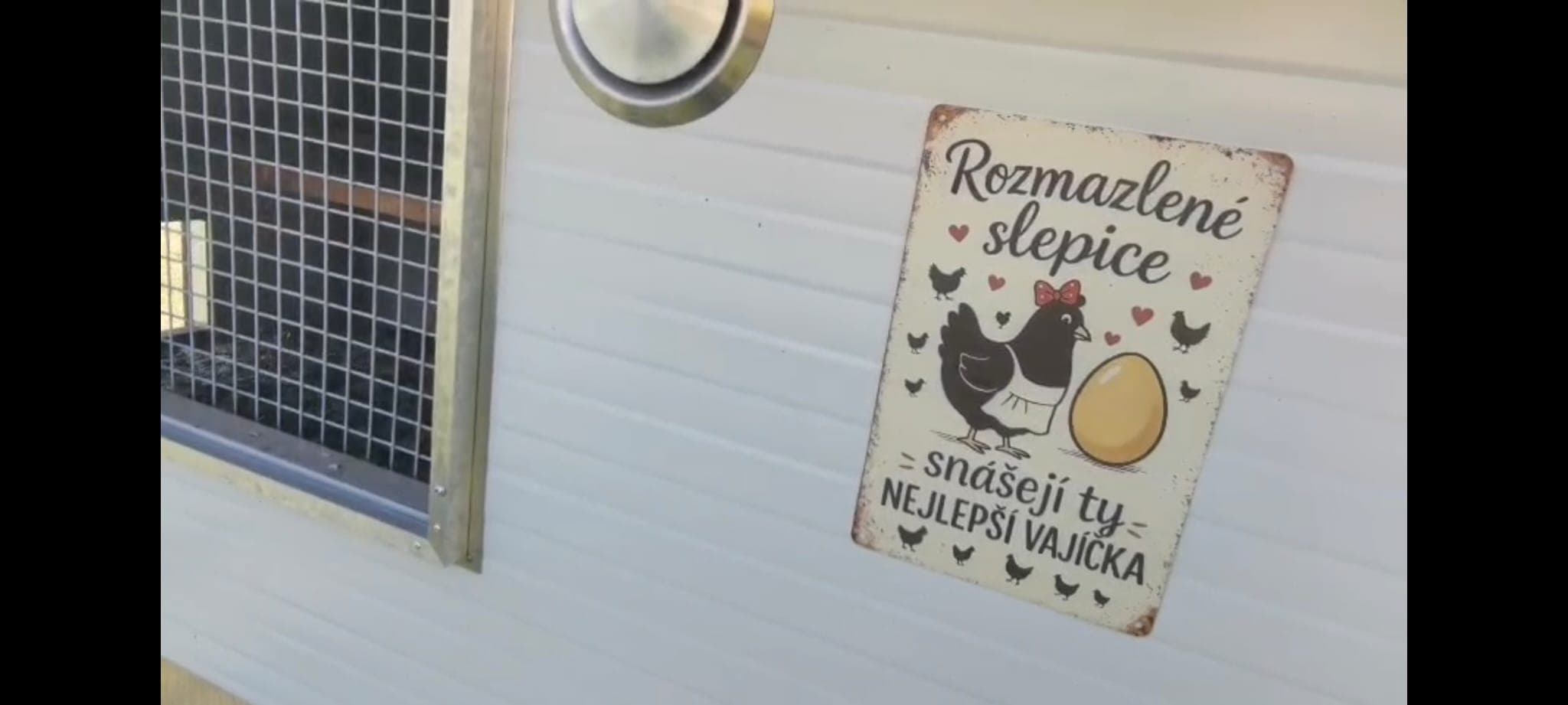 Rozmazlené slepice manželů Kultových